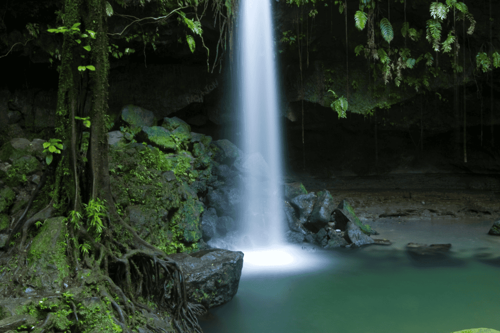 Emerald Pool, dominica