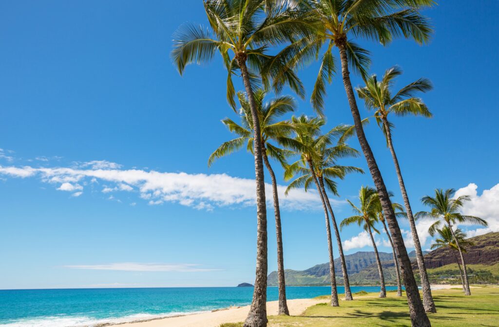 Hawaiian beach