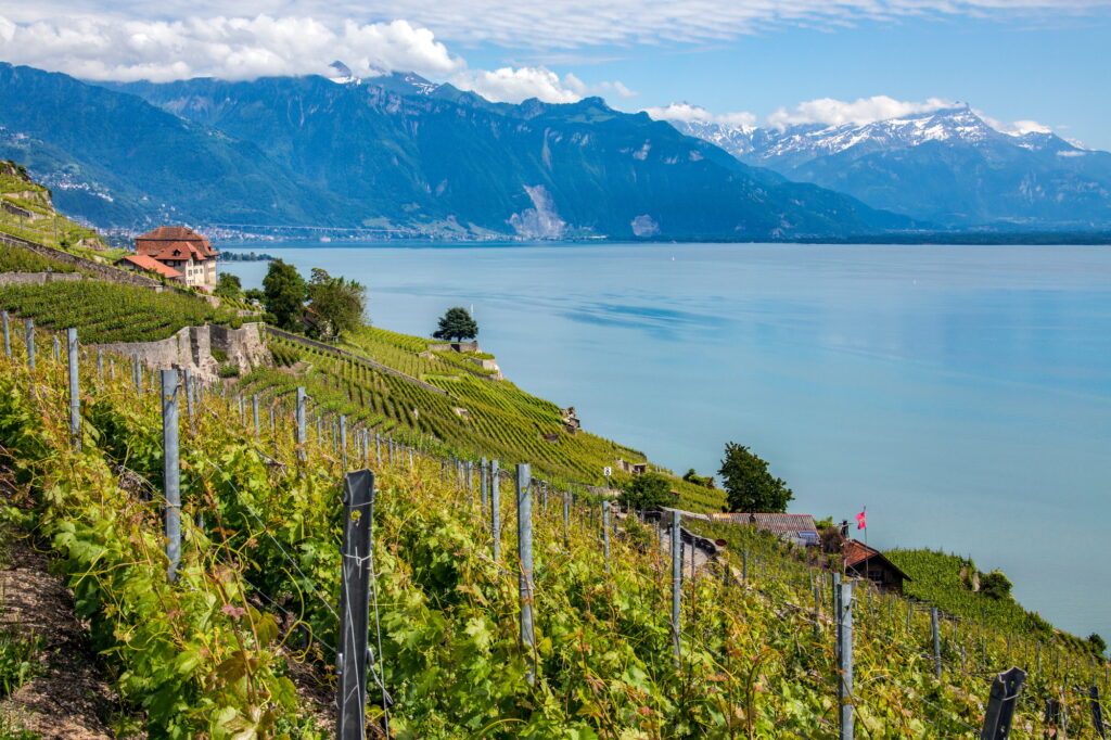 Lake Geneva - Switzerland, 