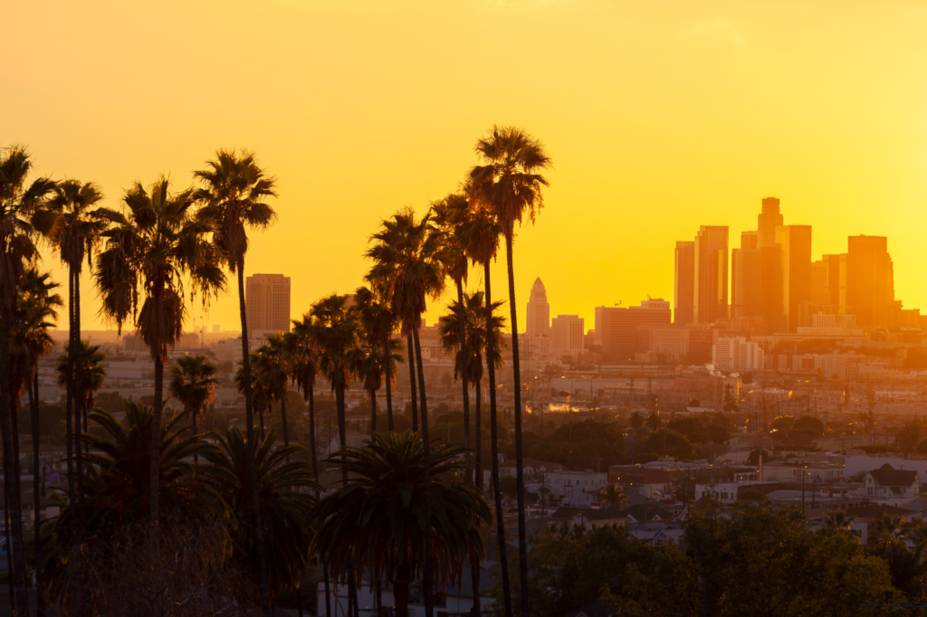 Palm trees with downtown Los Angeles, California in the background. Los Angeles  is one of the most vegan-friendly cities in the world.